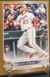 Nelson Cruz