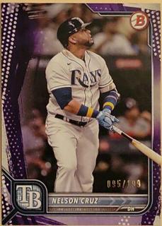 Nelson Cruz
