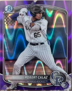 Robert Calaz