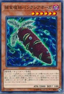 Predaplant Banksiogre COTD-JP016