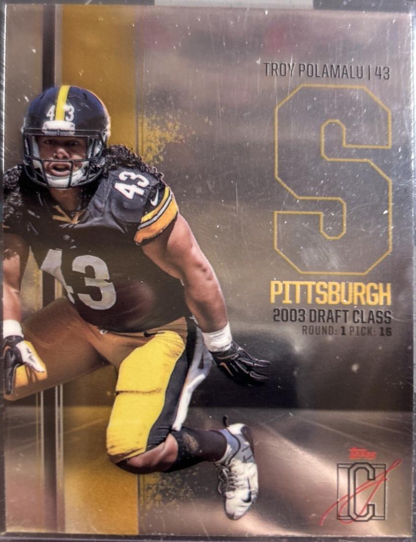Troy Polamalu #BCV-46 Football Cards 2024 Topps Signature Class Veteran Chrome Variation
