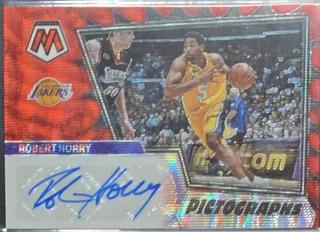 Robert Horry