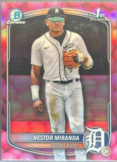 Nestor Miranda