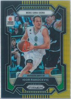 Igor Rakocevic
