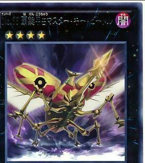 Number 66: Master Key Beetle JOTL-JP054