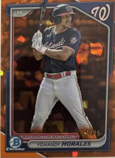 Yohandy Morales