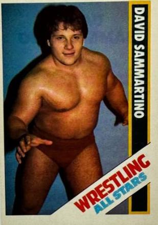 David Sammartino #53 Wrestling Cards 1985 Wrestling All Stars