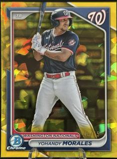 Yohandy Morales