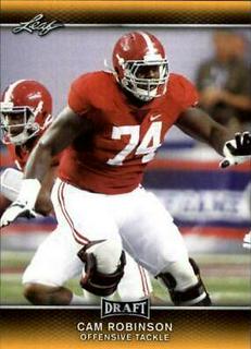 Cam Robinson
