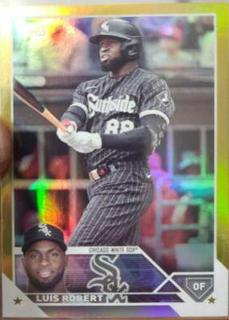 Luis Robert