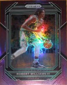 Robert Williams III