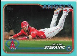 Michael Stefanic