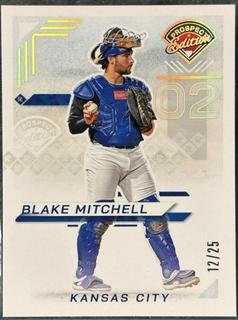Blake Mitchell