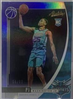 PJ Washington Jr.