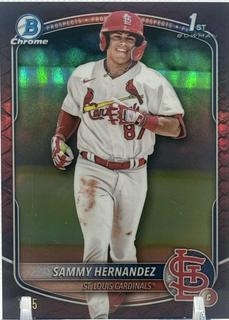Sammy Hernandez