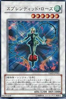 Splendid Rose TSHD-JP043