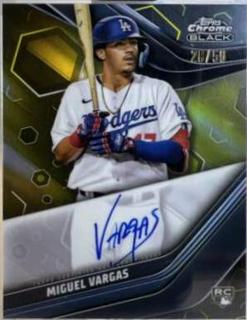 Miguel Vargas