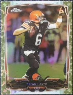 Brian Hoyer