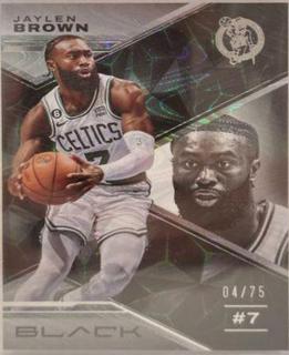Jaylen Brown