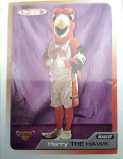 Harry The Hawk