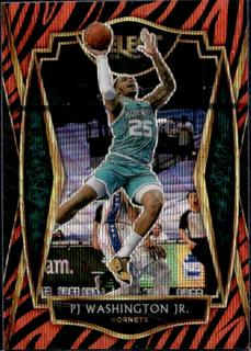 PJ Washington Jr.