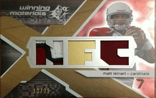 Matt Leinart