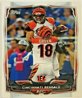 Cincinnati Bengals