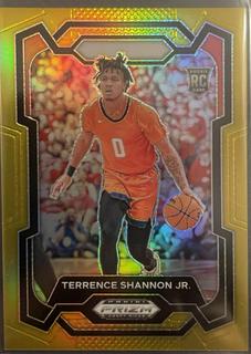 Terrence Shannon Jr.