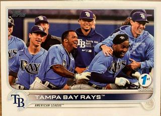 Tampa Bay Rays