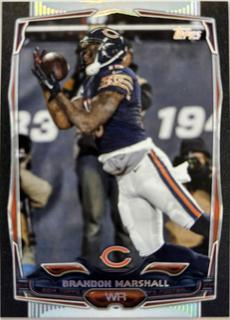 Brandon Marshall