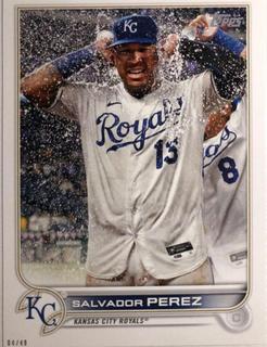 Salvador Perez
