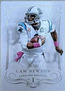 Cam Newton