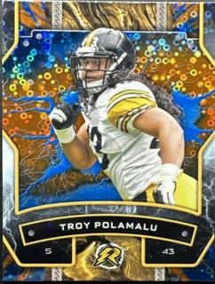 Troy Polamalu