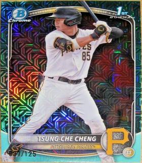 Tsung-Che Cheng
