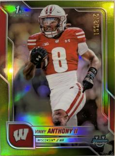 Vinny Anthony II