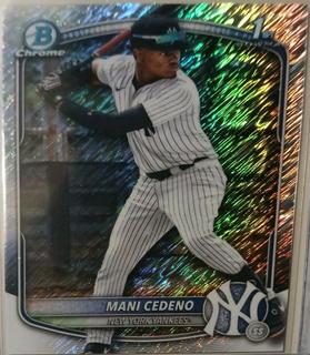 Mani Cedeno