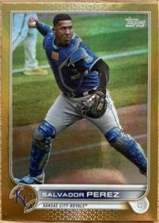 Salvador Perez
