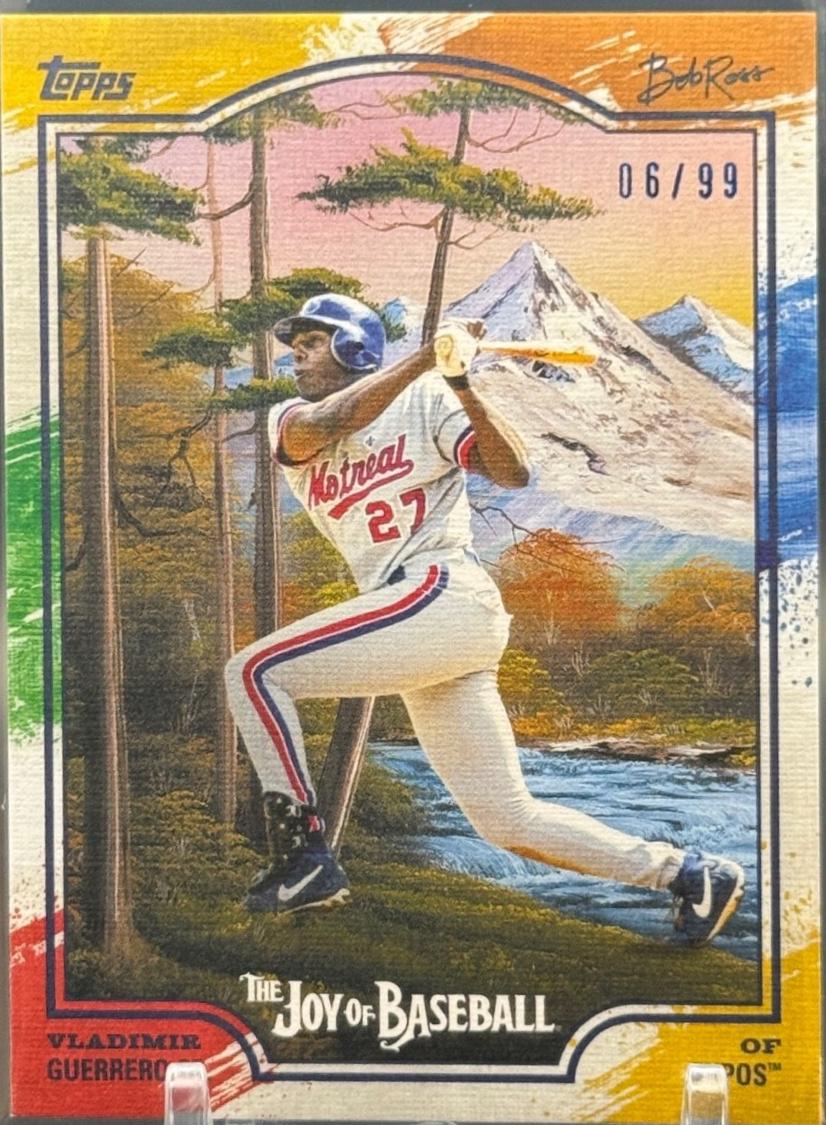 Vladimir Guerrero Sr. [Paint Splatter] #59