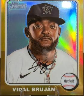 Vidal Brujan