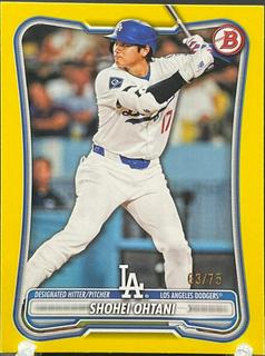 Shohei Ohtani