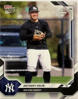 Anthony Volpe