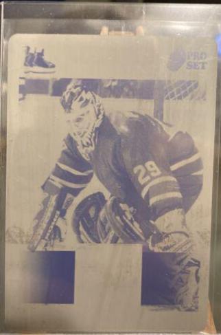 Felix Potvin #PSM-25 Hockey Cards 2021 Pro Set Memorabilia