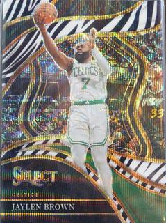 Jaylen Brown