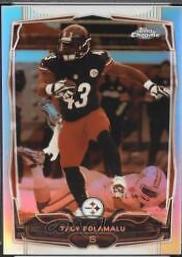 Troy Polamalu