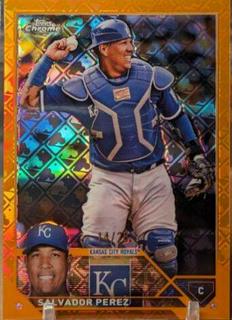 Salvador Perez