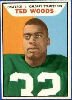 Ted Woods