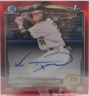 Will Taylor