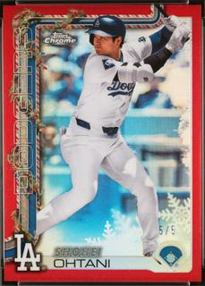 Shohei Ohtani