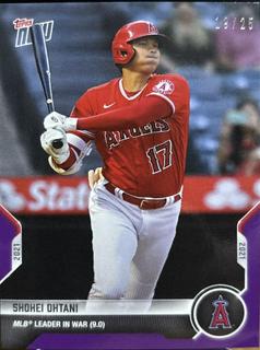 Shohei Ohtani
