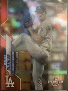 Walker Buehler